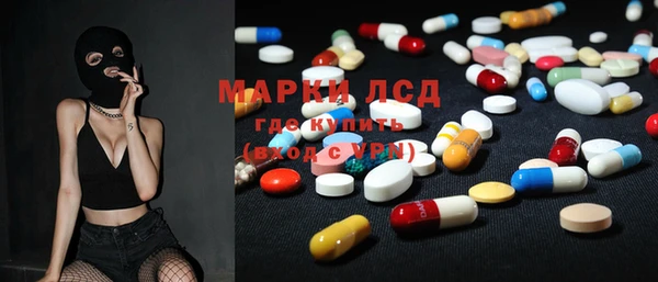 крисы Алзамай