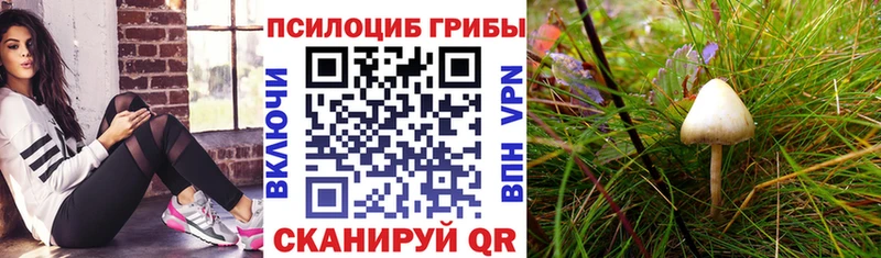 Галлюциногенные грибы Psilocybine cubensis  купить наркоту  Арамиль 